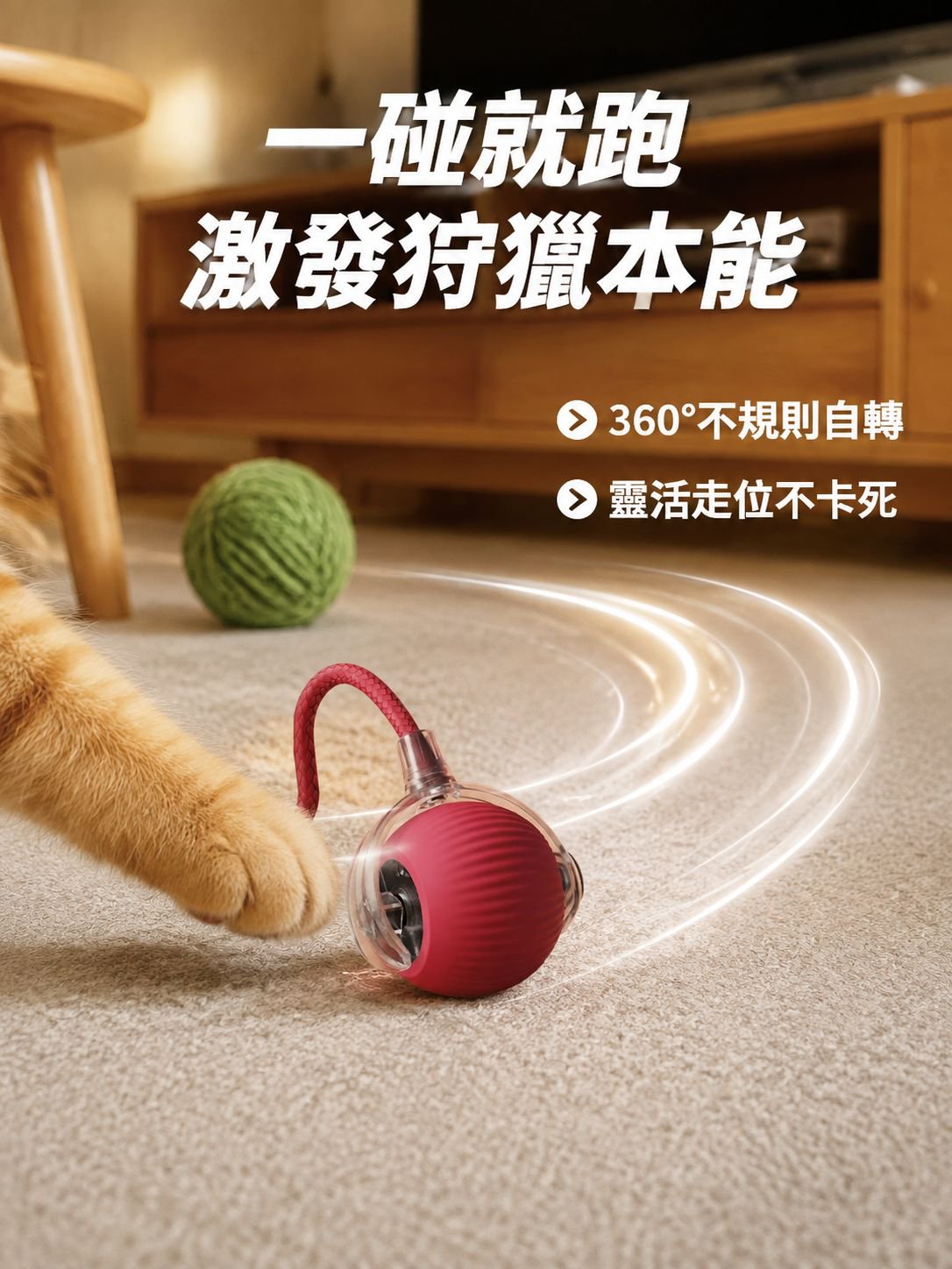 自動互動貓咪電球