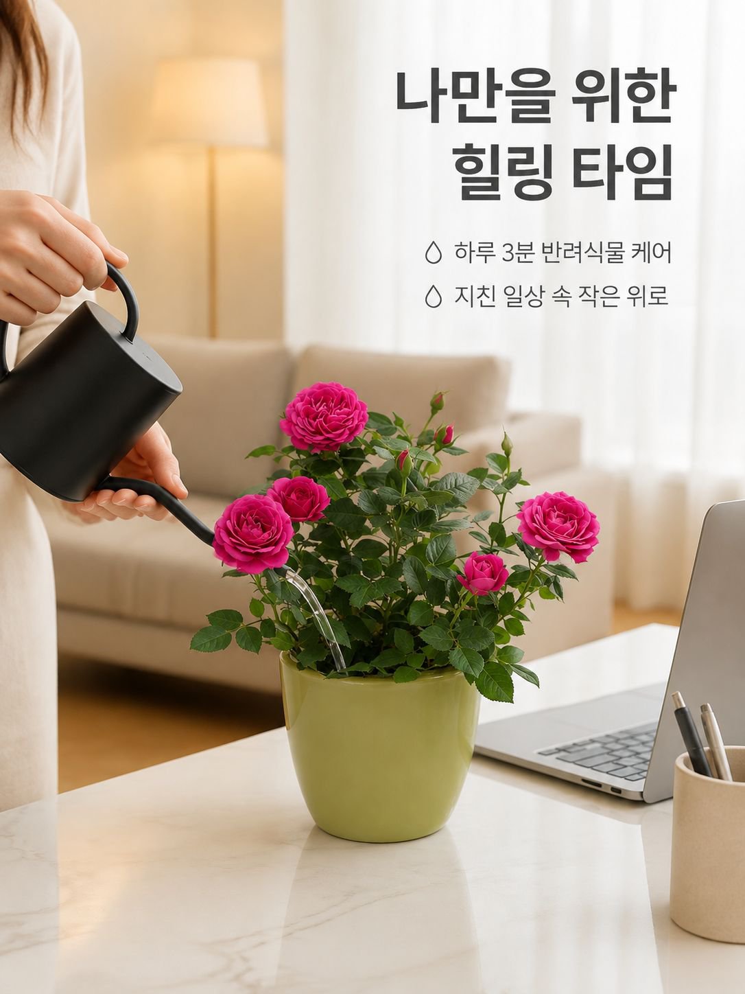 혼합 색상 장미 화분 식물