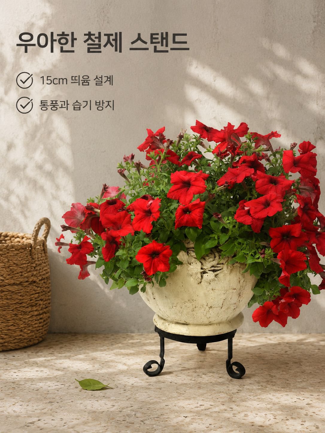 겹꽃 페튜니아