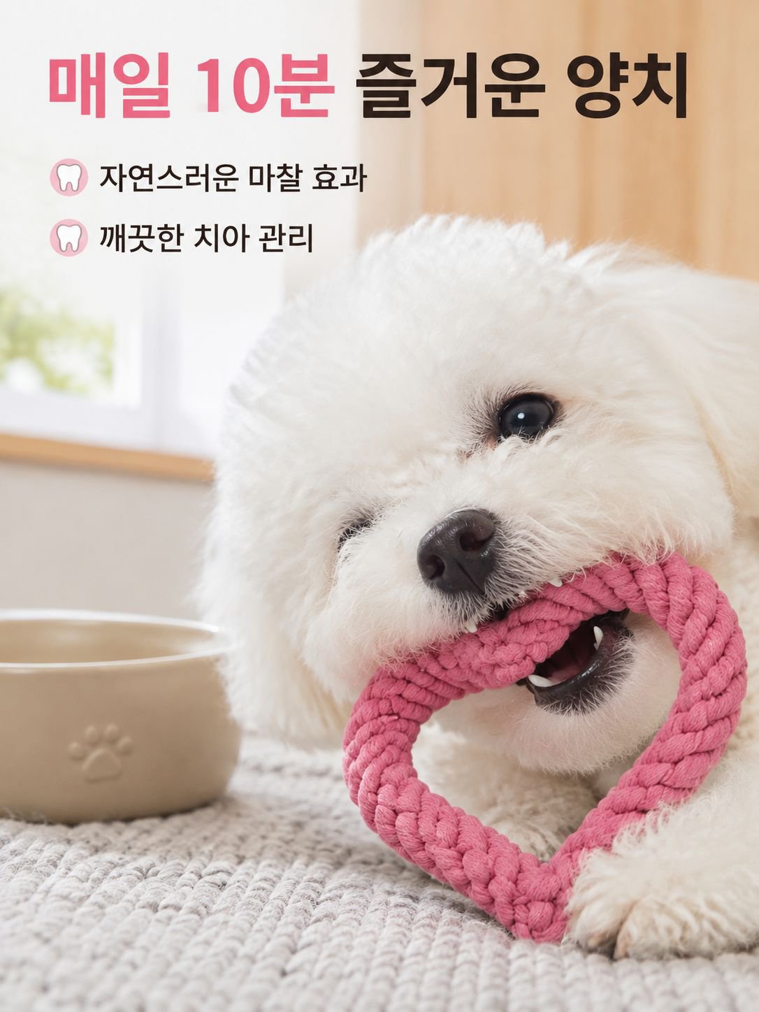 애완견 목줄 장난감