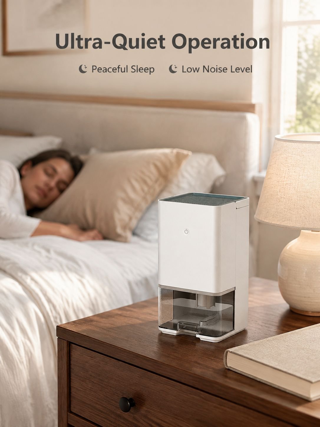 Mini Dehumidifier for Moisture Removal