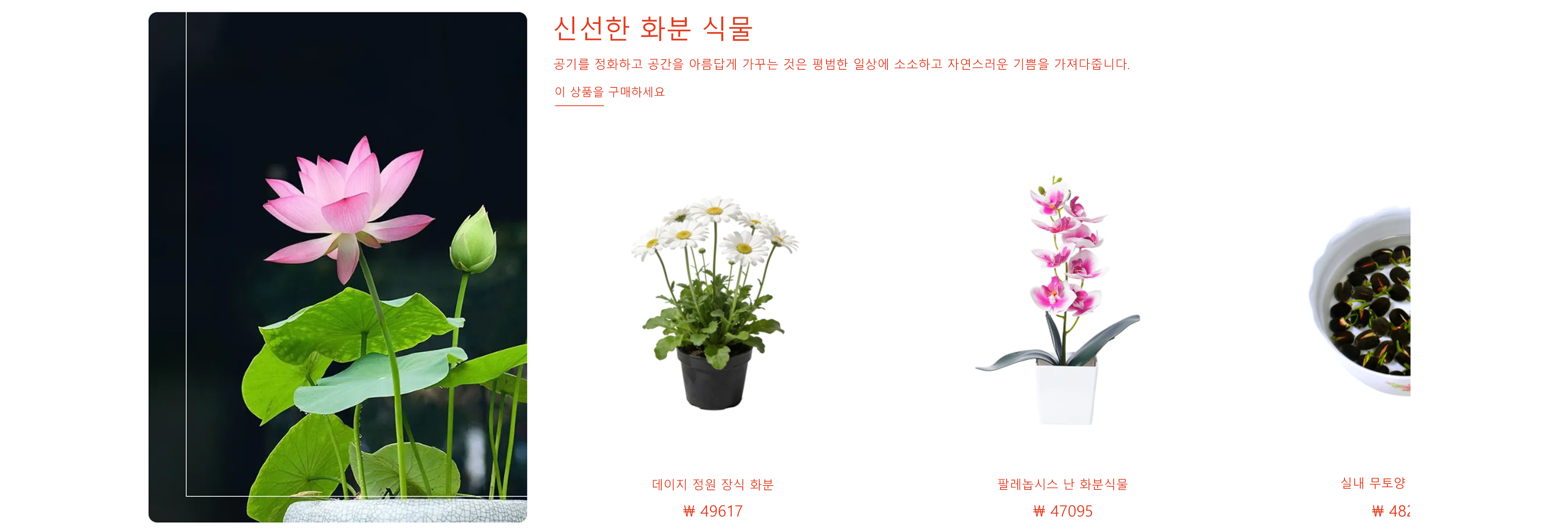 온라인 쇼핑몰