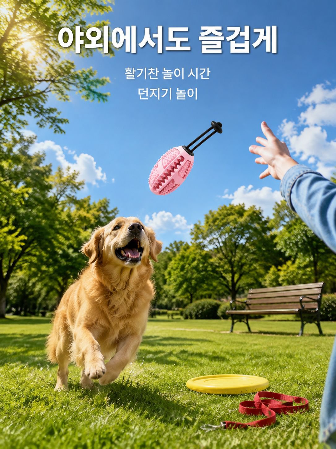 반려동물용 올리브 씹는 장난감