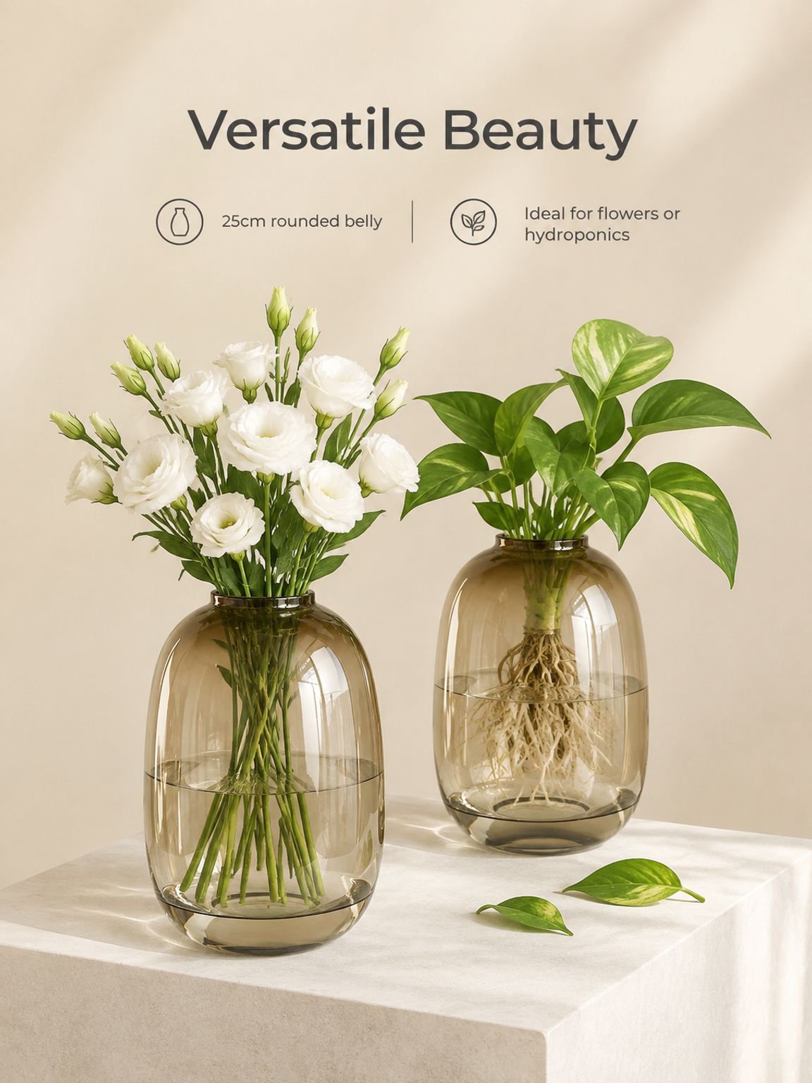 Indoor plant display in a clear glass floor vase