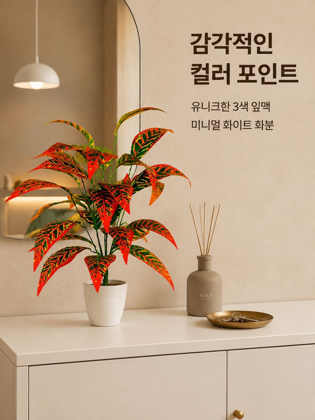 몬스테라 델리시오사 분재