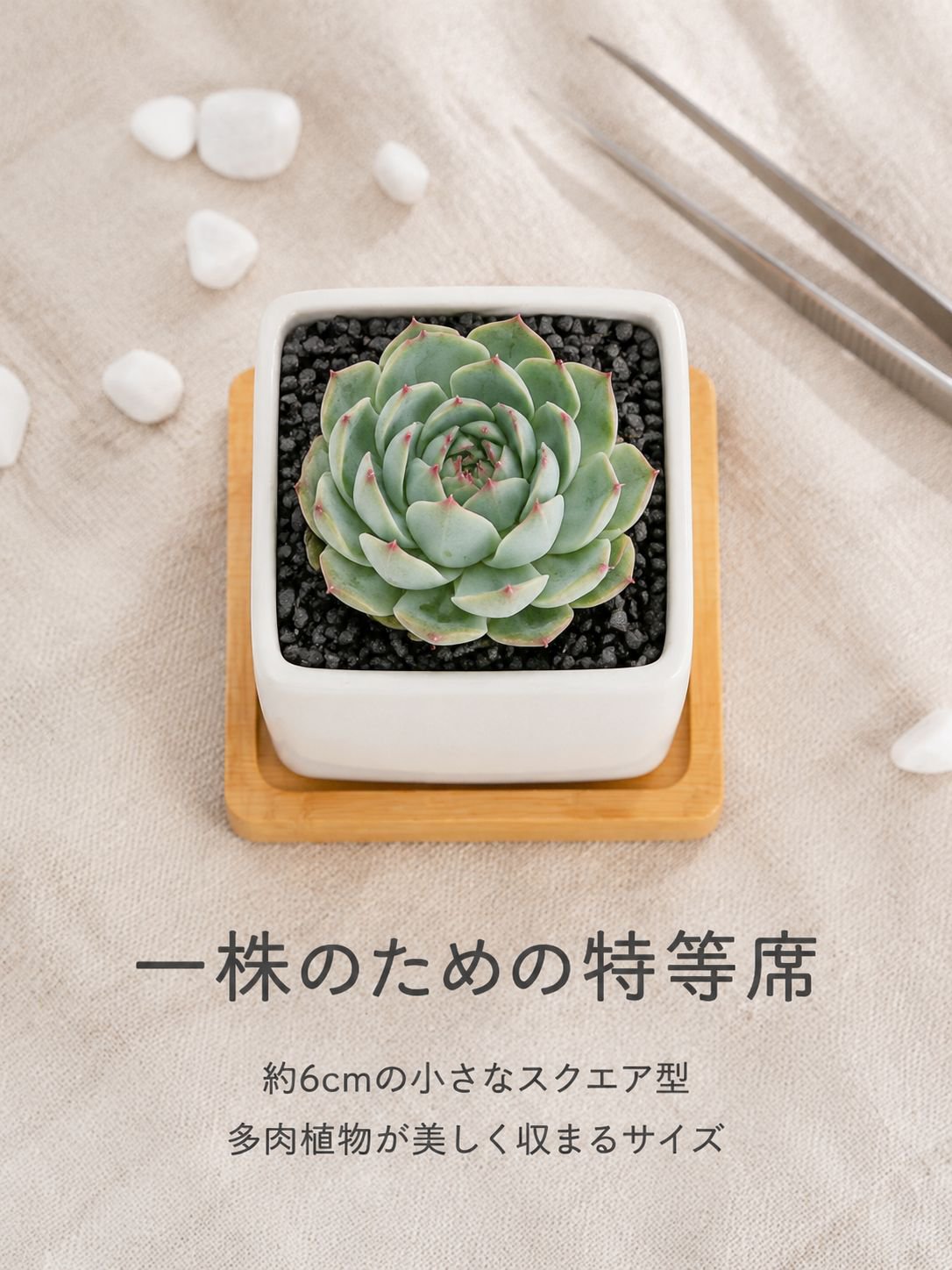 グレーズセラミック多肉植物鉢