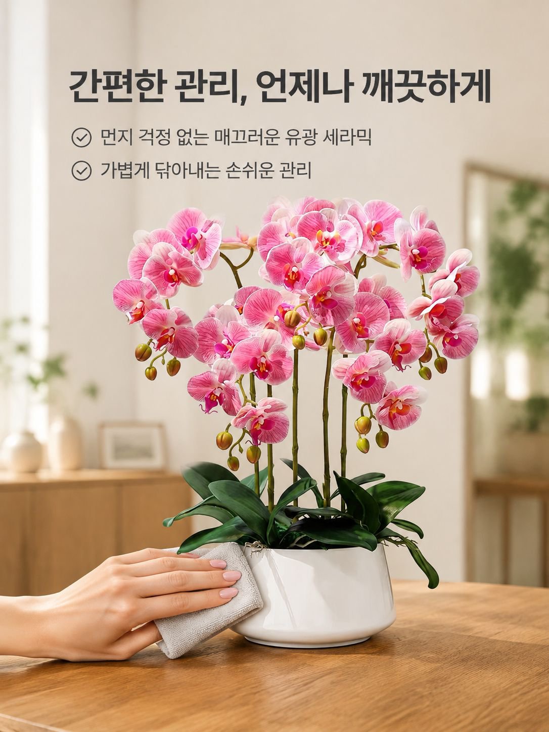 팔레노프시스 난초 실내 식물