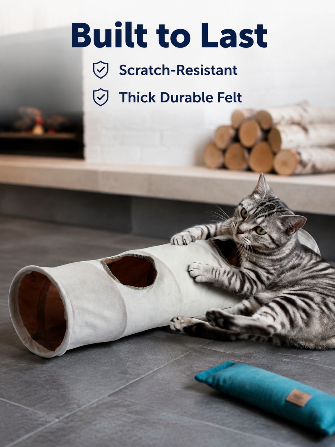 Cats hide in sniffing tunnels