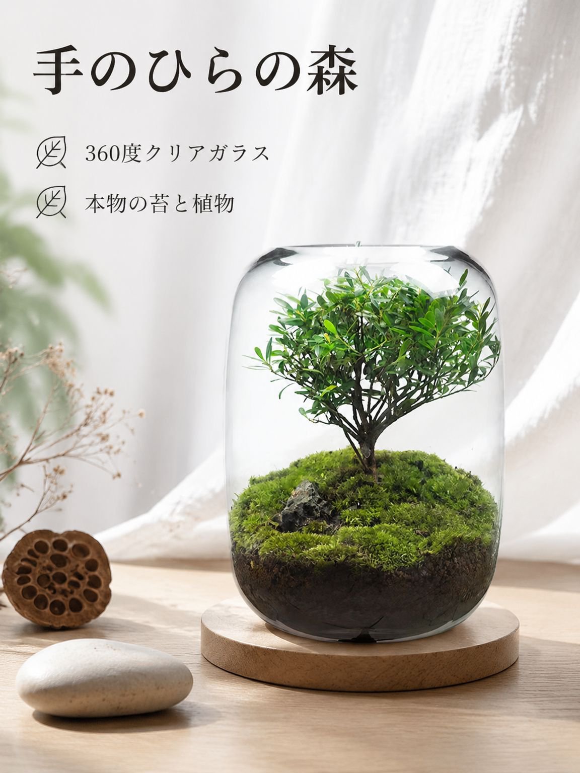 ミクロ景観エコボトル花瓶盆栽