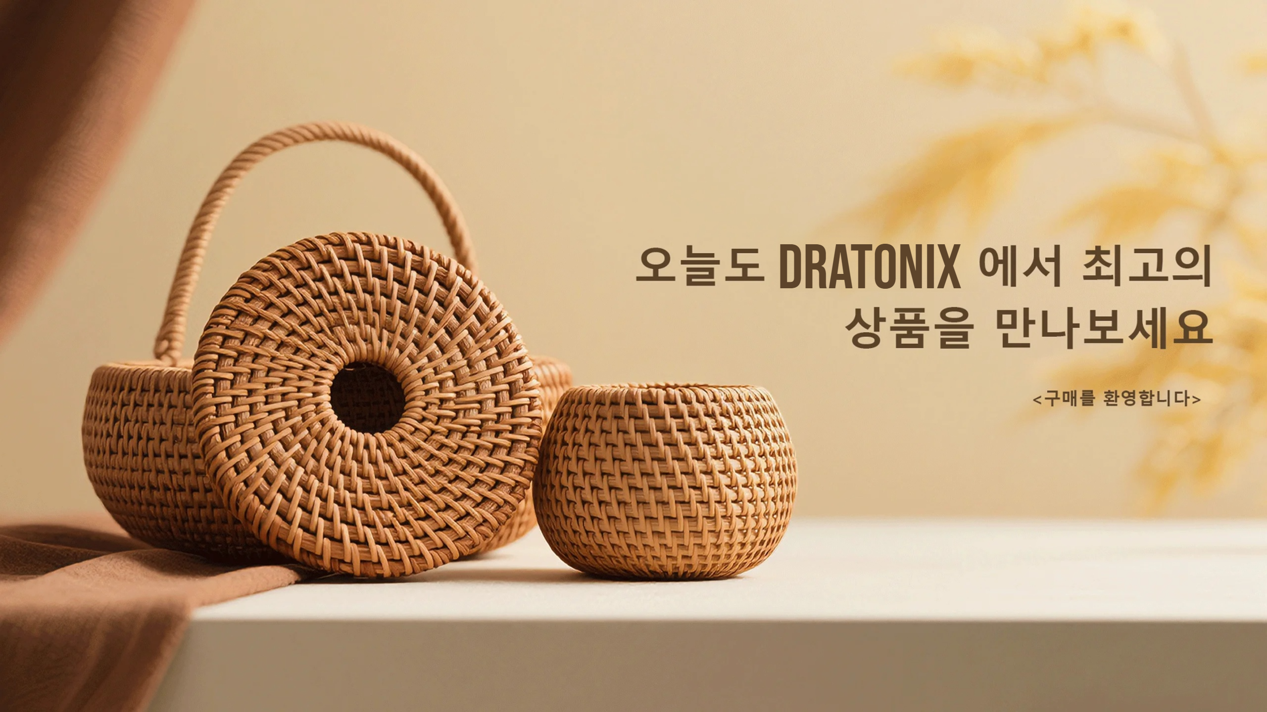 dratonix.com