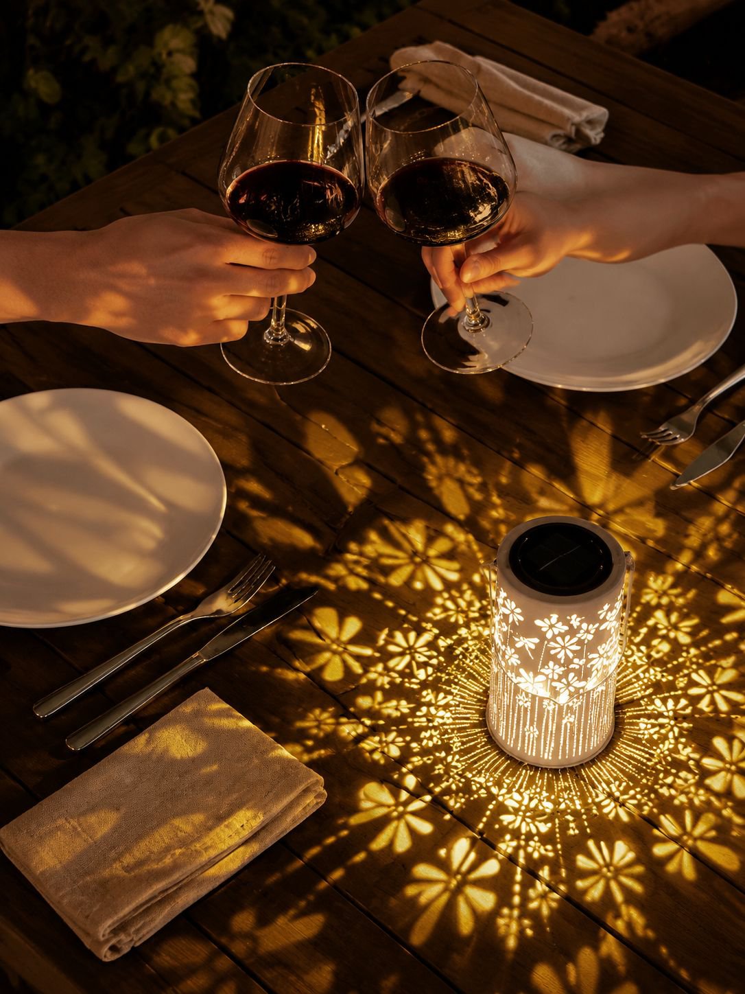 Garden path lit by waterproof solar-powered dragonfly lights