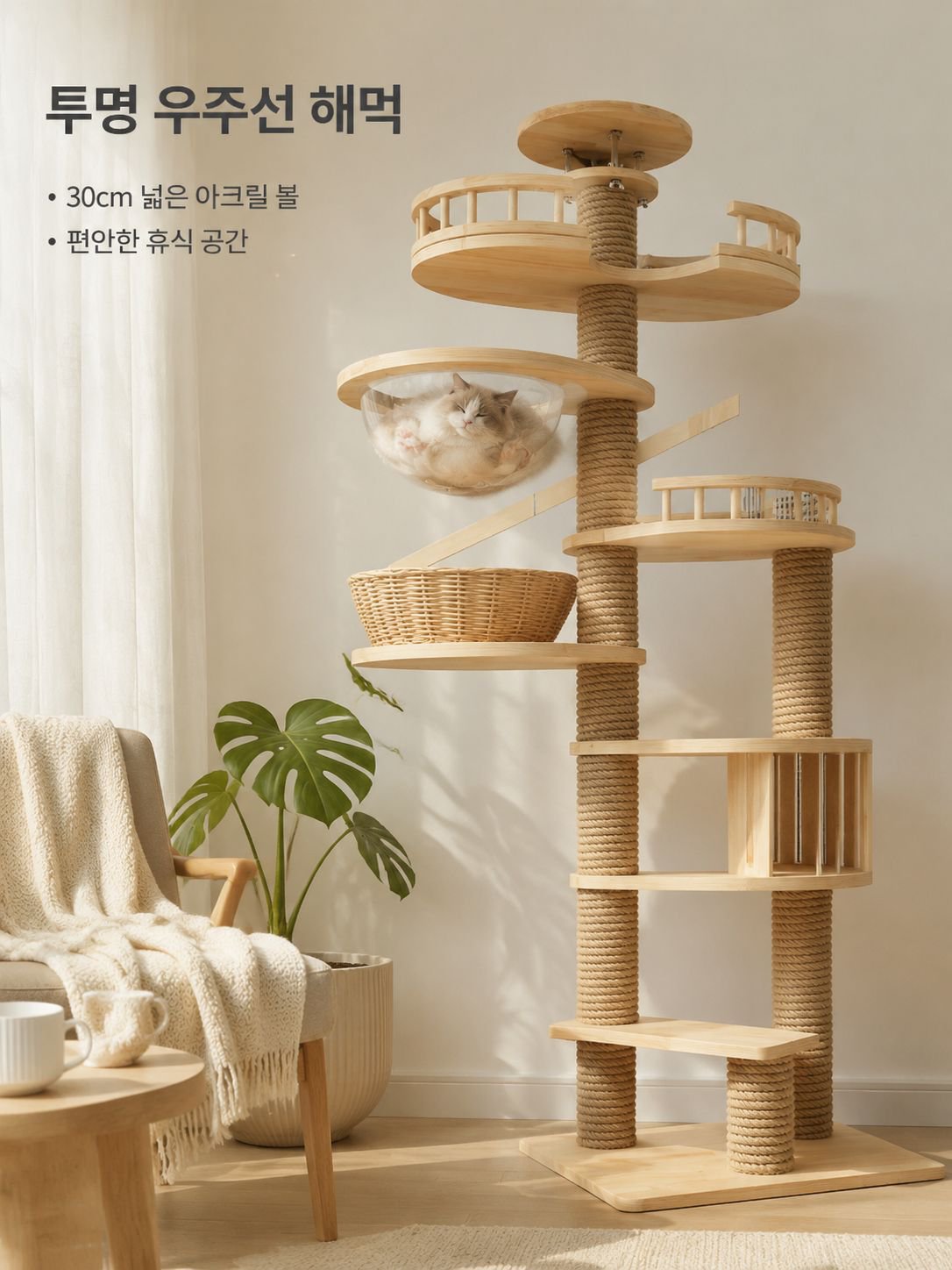 고양이가 나무를 기어오르다.