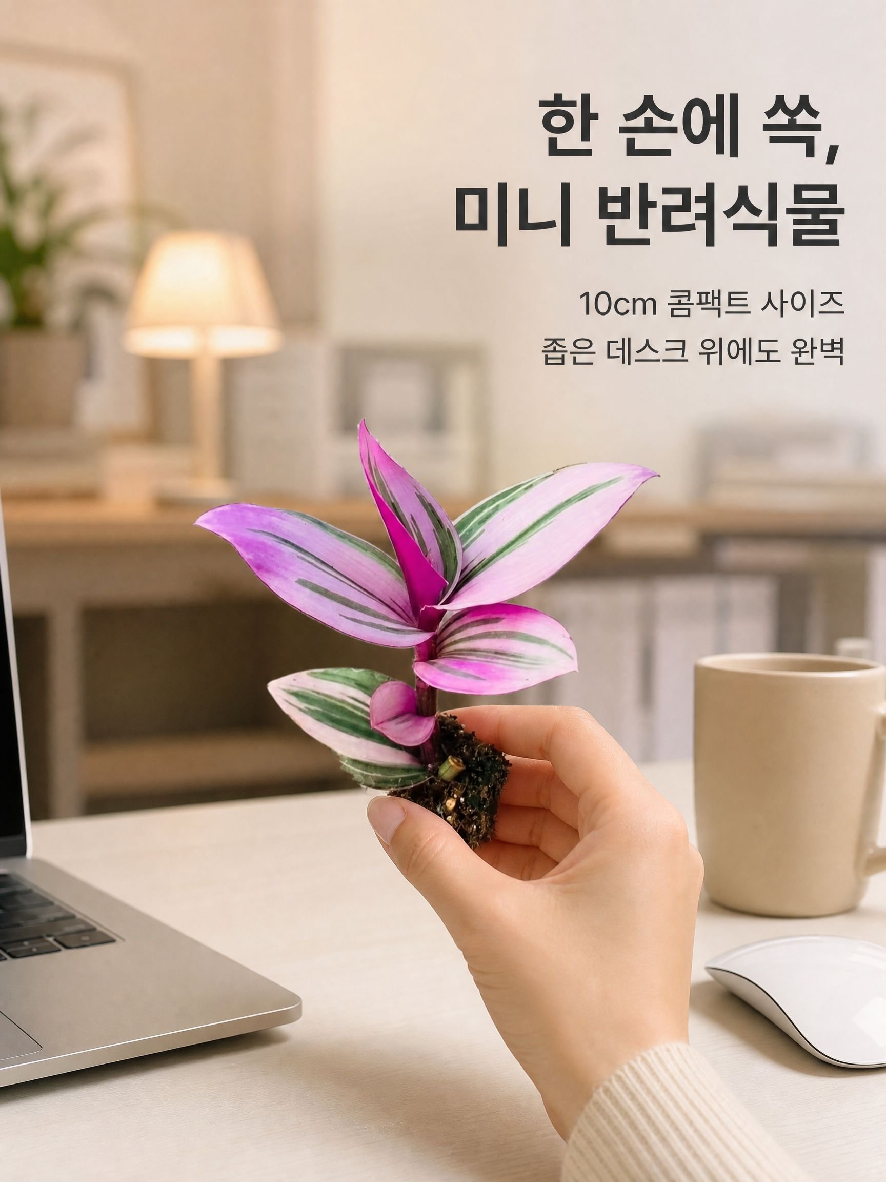사계절 녹색 식물 및 화분 식물