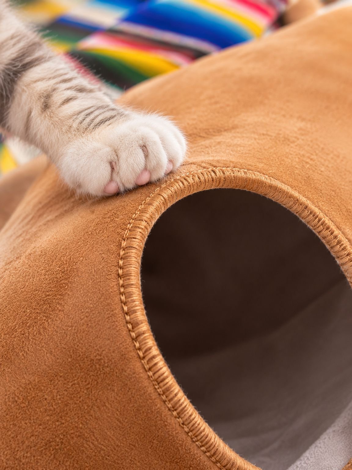 Túnel portátil para gatos fácil de guardar