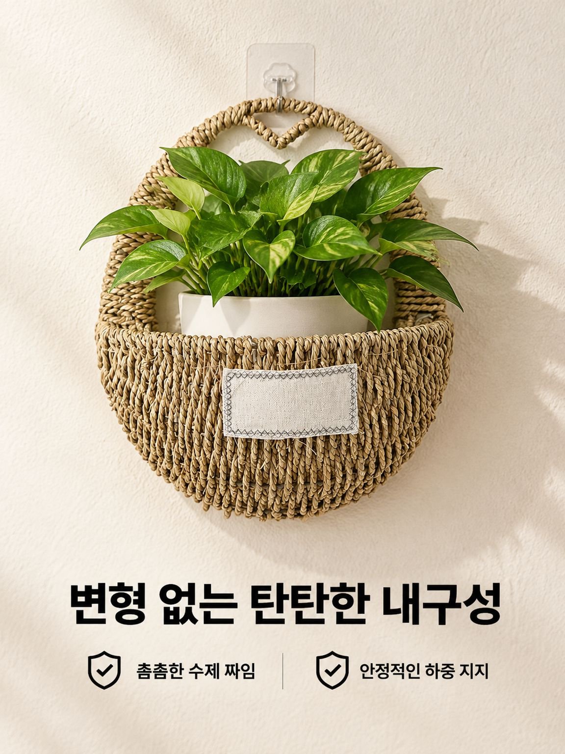 포토스 및 관엽식물용 벽걸이형 화분