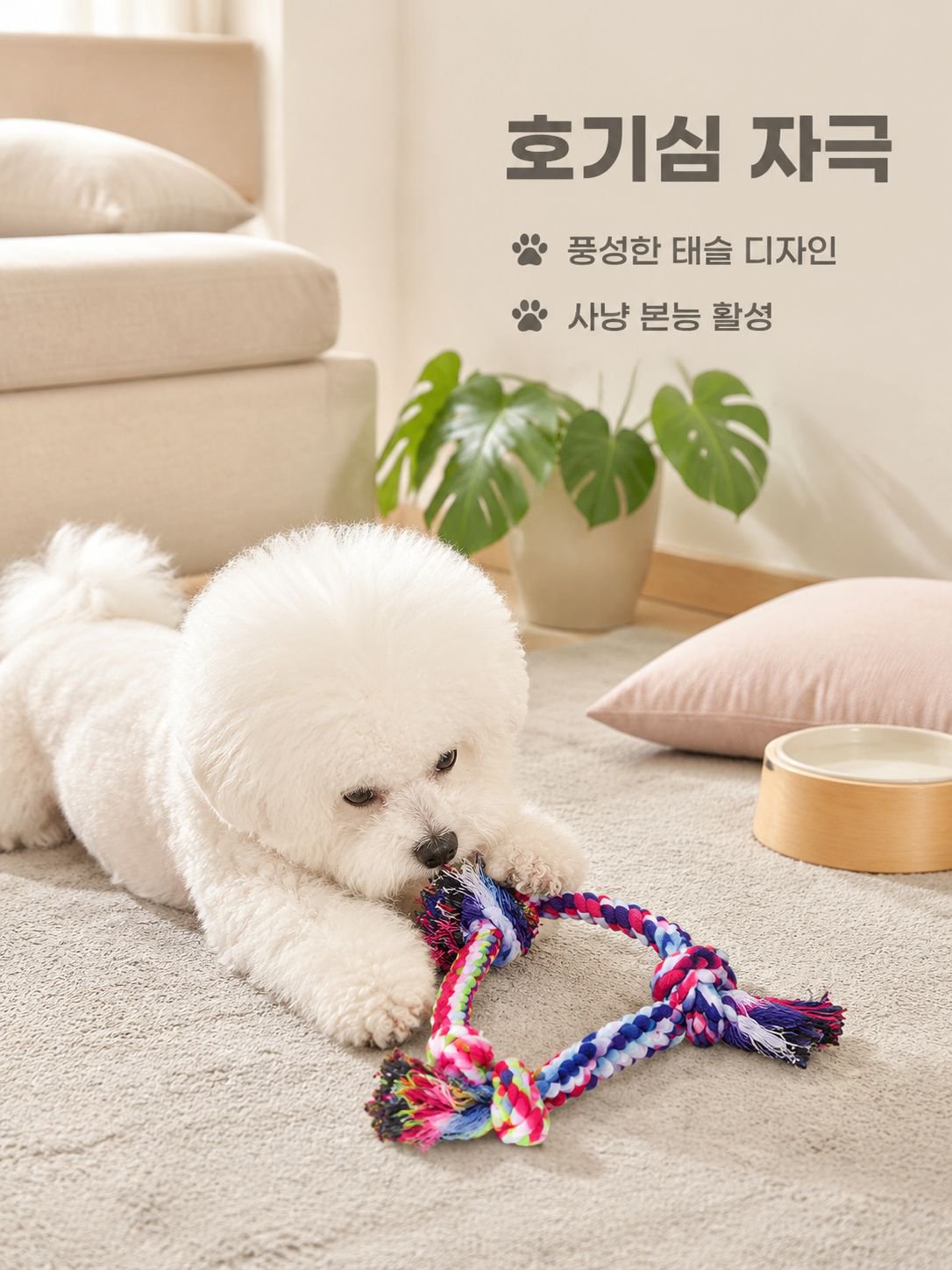 애완동물이 장난감을 씹다