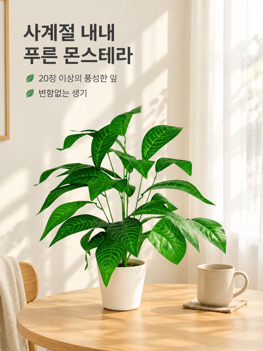 몬스테라 델리시오사 분재