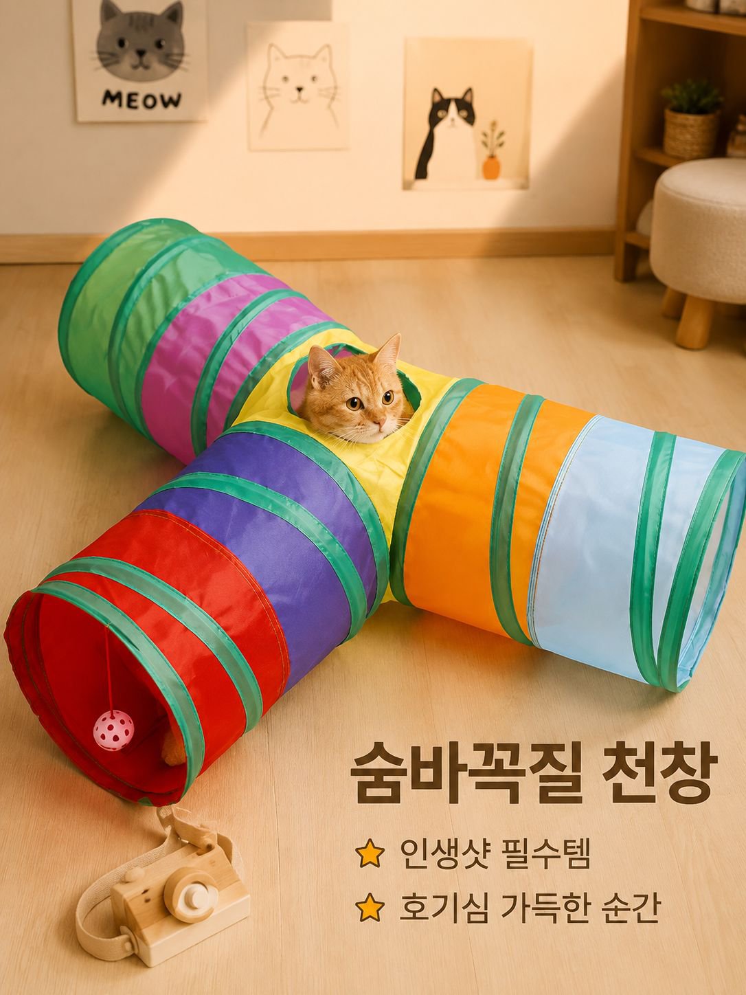 무지개색 고양이 놀이 터널