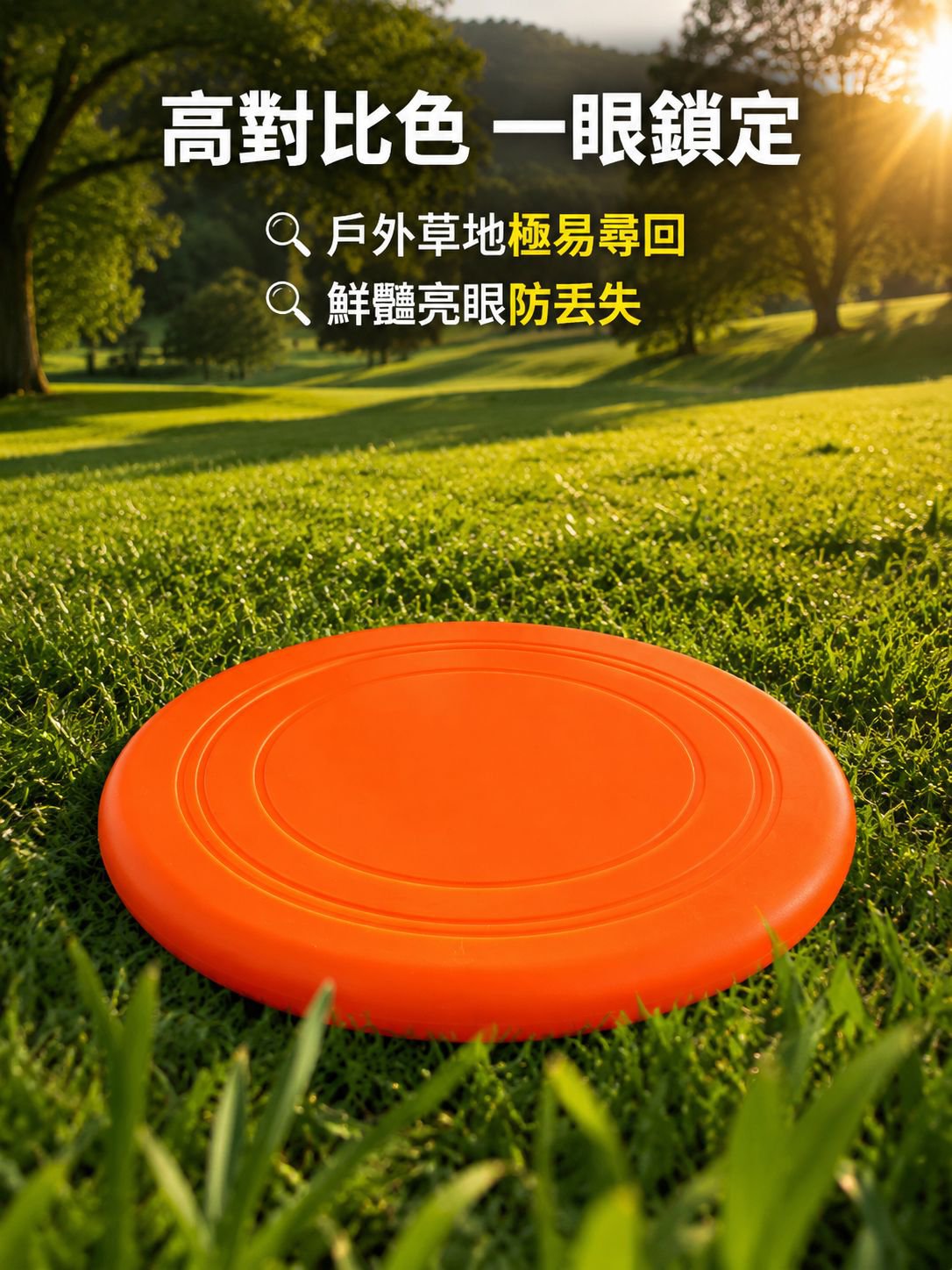 寵物戶外訓練飛盤