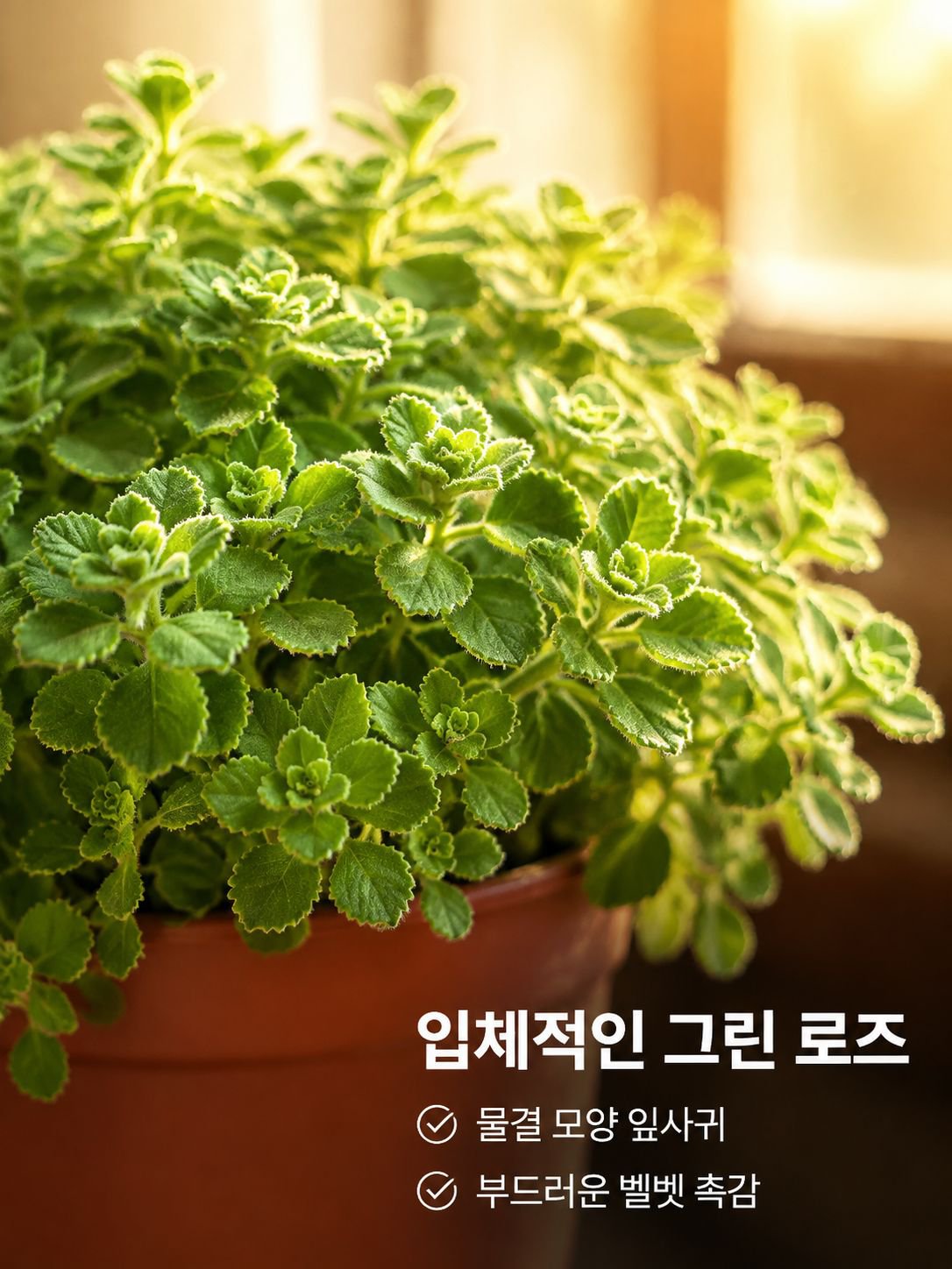 로즈마리 녹색 식물