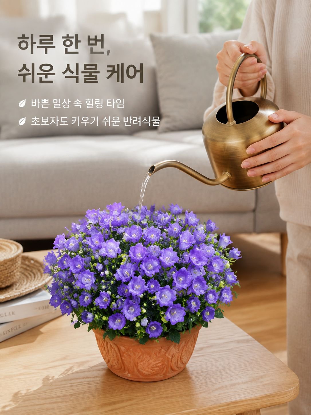 겹꽃 덴마크 벨플라워