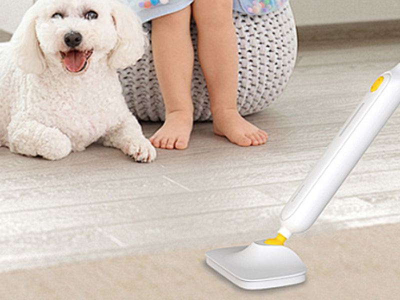 최신 인기 아이템 온라인 쇼핑몰 추천,효율적인 집안 관리를 위한 청소 도구 모음,편리한 생활을 위한 청소 용품 특가전