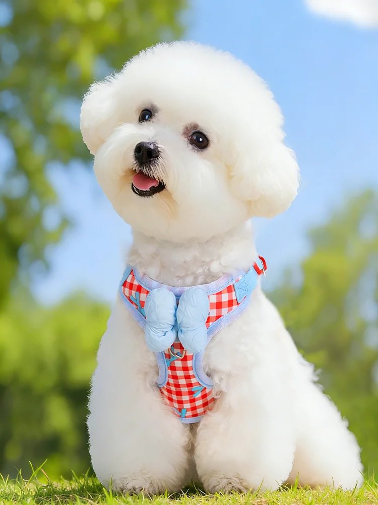 온라인 쇼핑몰