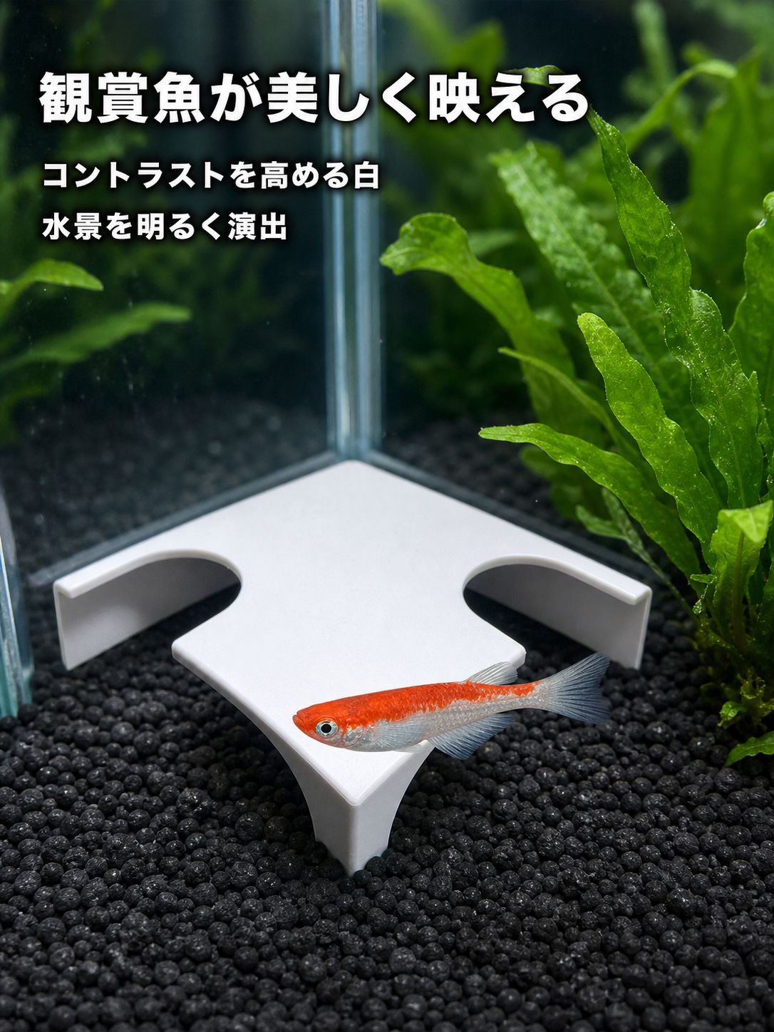 アクアリウム二重穴観魚トンネル