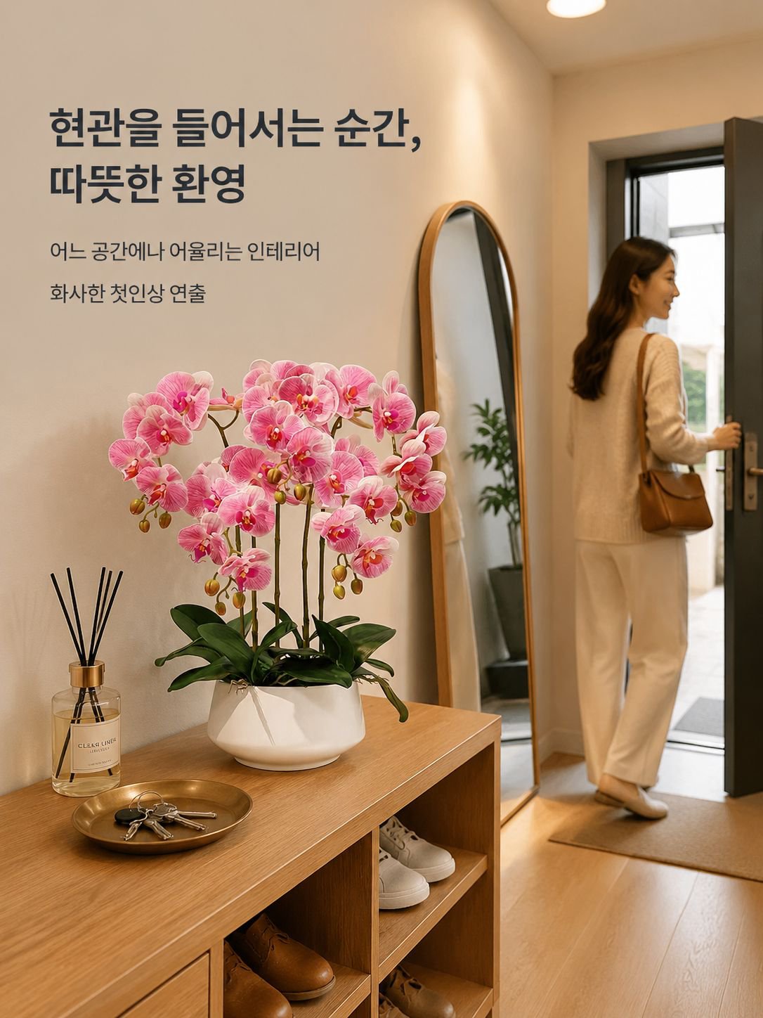 팔레노프시스 난초 실내 식물
