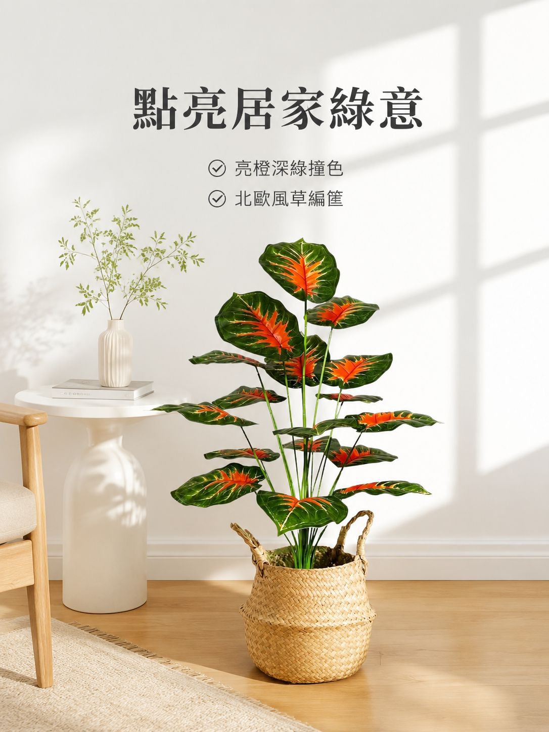 大型地面觀葉植物