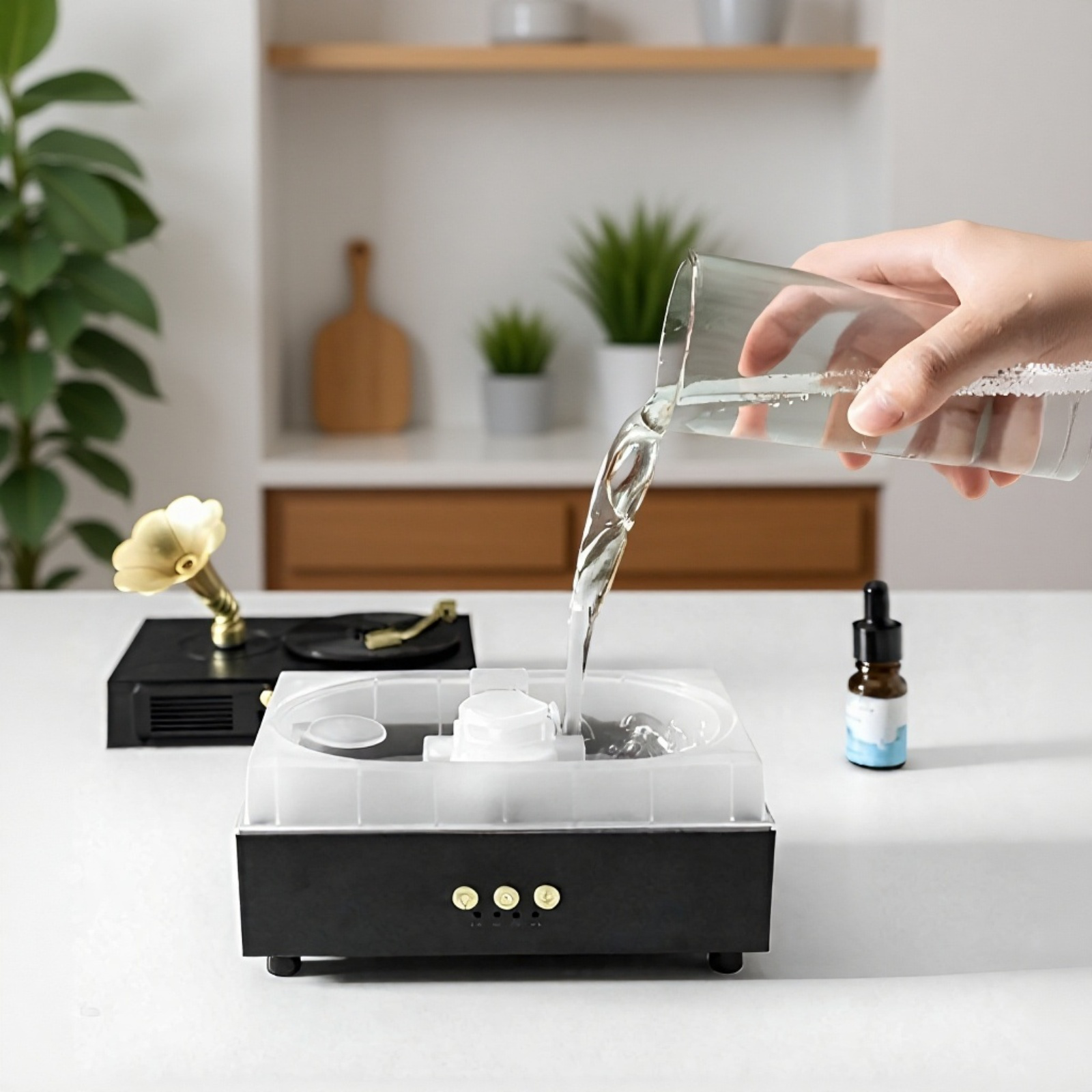 Gramophone humidifier emitting mist