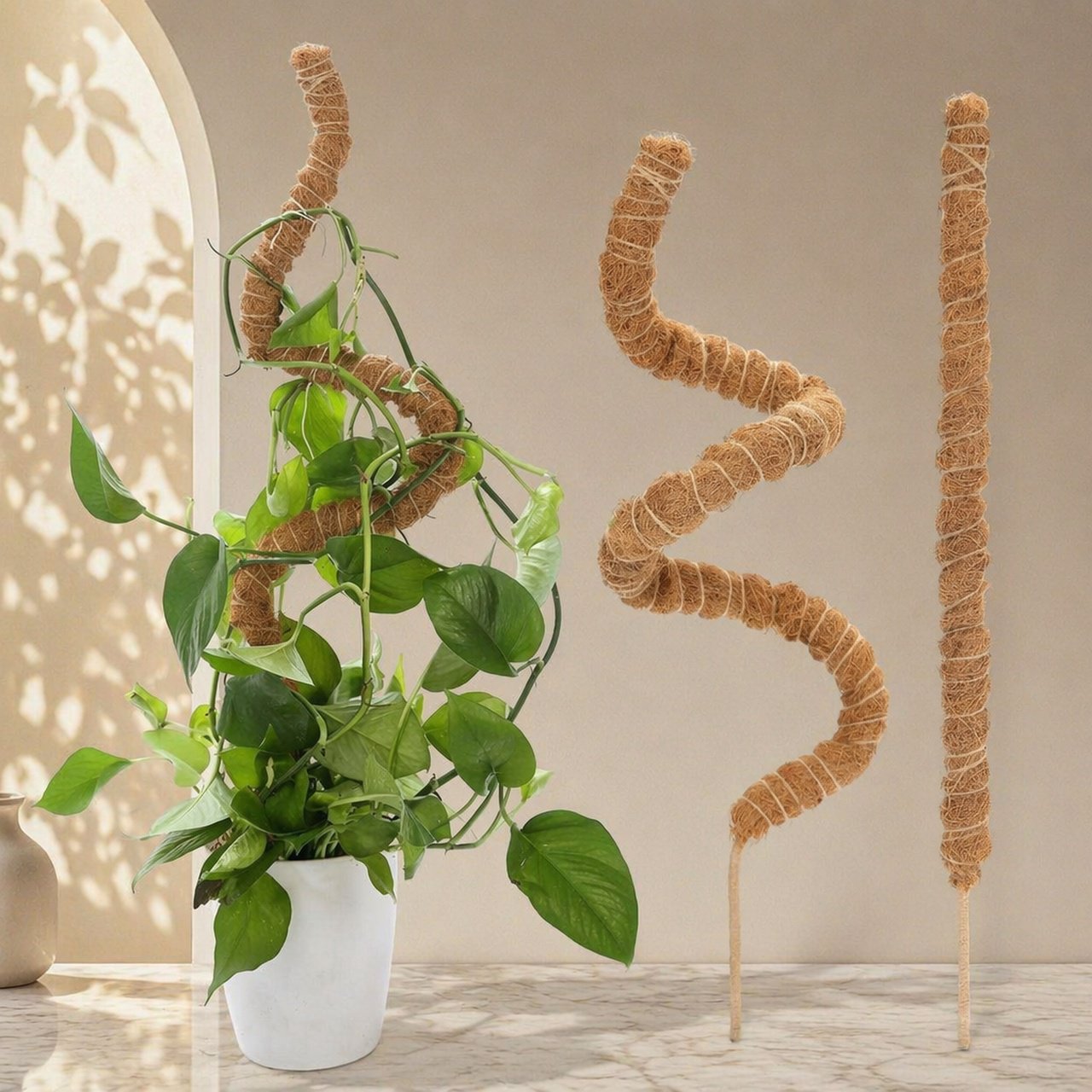 Creative Monstera Support Moss Pole