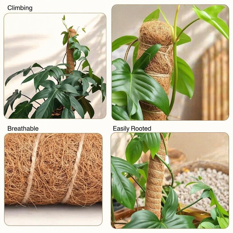 Extendable moss pole for tall climbing plants