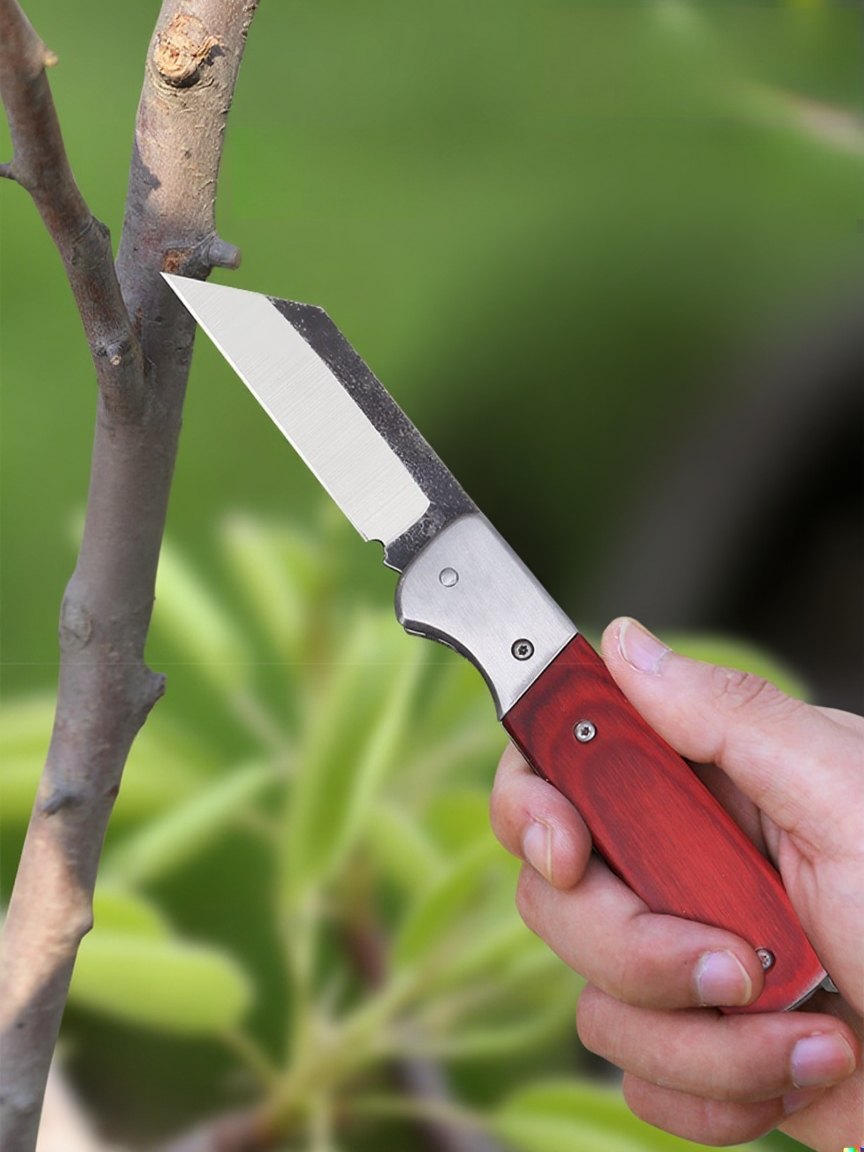 Składany nóż do szczepienia z drewnianą rączką na białym tle