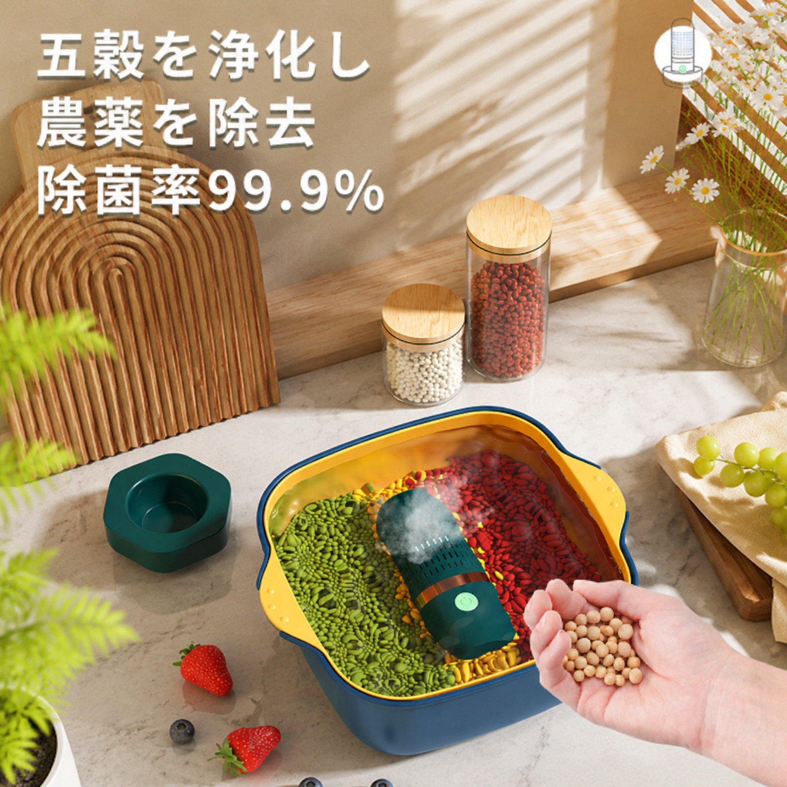野菜と果物の殺菌・農薬除去洗浄機