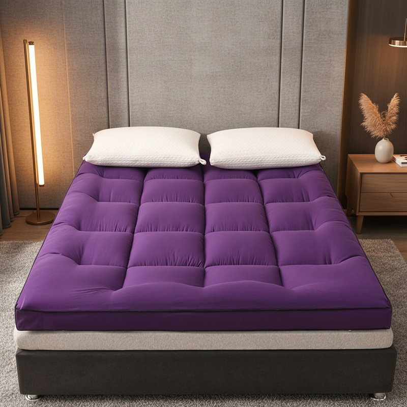 Thickened Feather Velvet Mattress for Student Dormitory Foldable Single Tatami Soft Mat