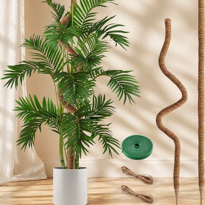 Tuteur créatif pour Monstera, support d'escalade pour plantes