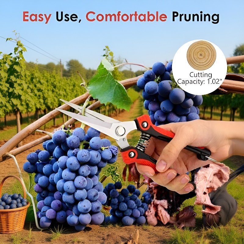 Gardening pruning shears for fruit pruning