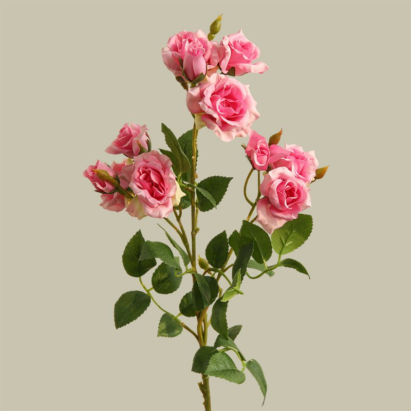 버블로즈 목욕볼