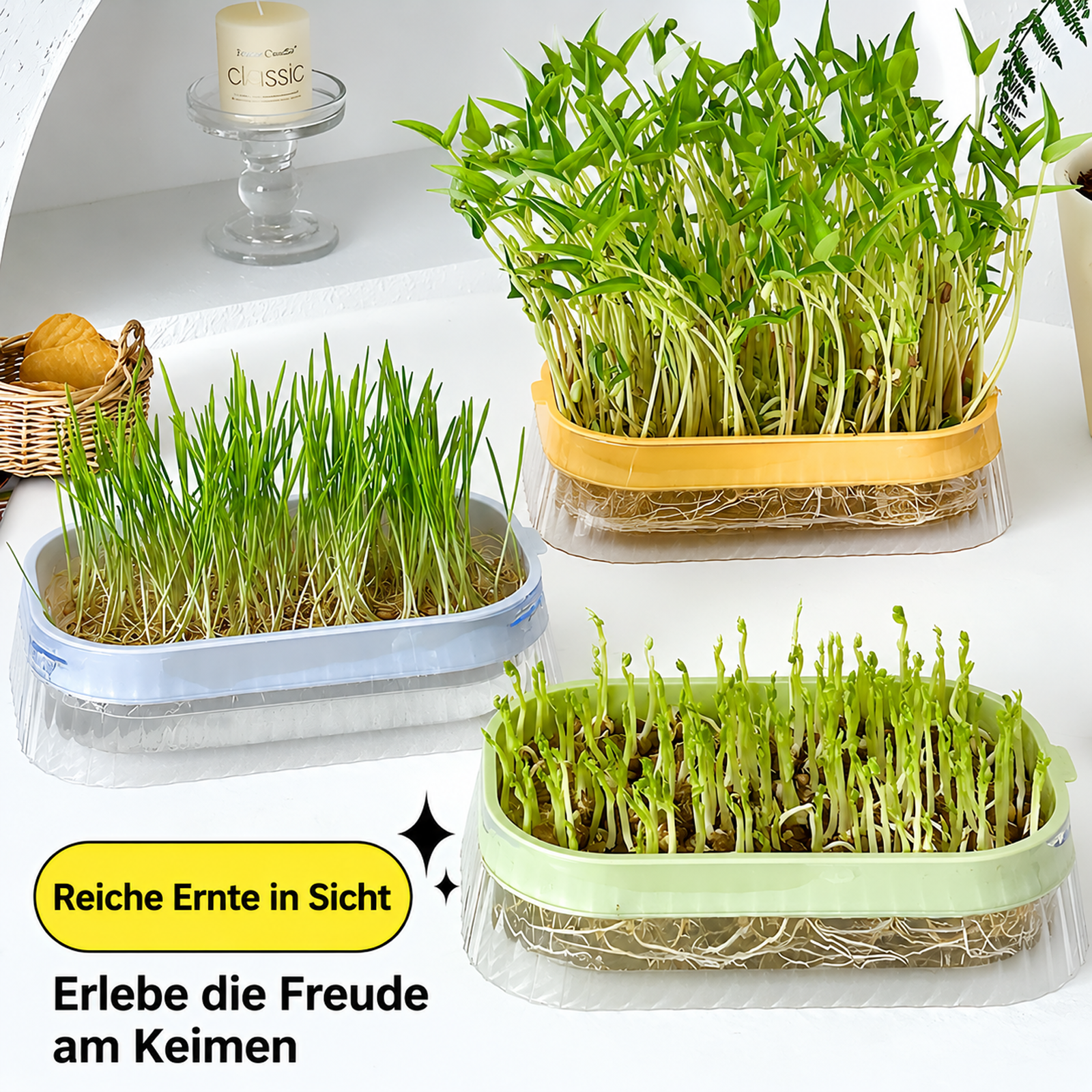 Hydroponische Anzuchtschale für Sprossen