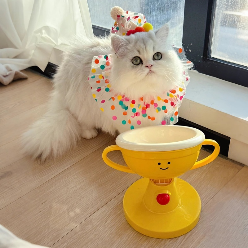 조절 가능한 트로피 높이 애완동물 식기