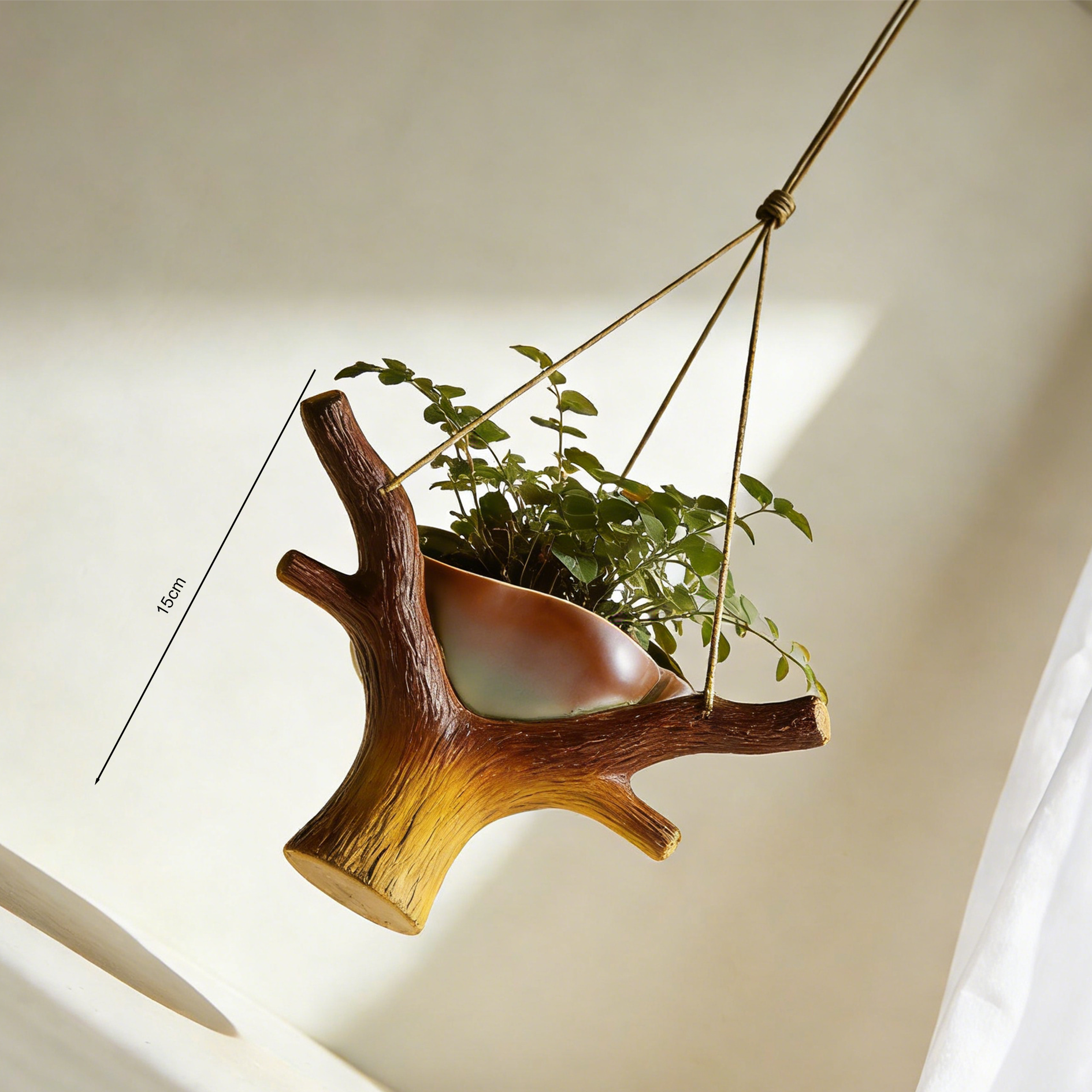 観葉植物を飾った多用途植木鉢