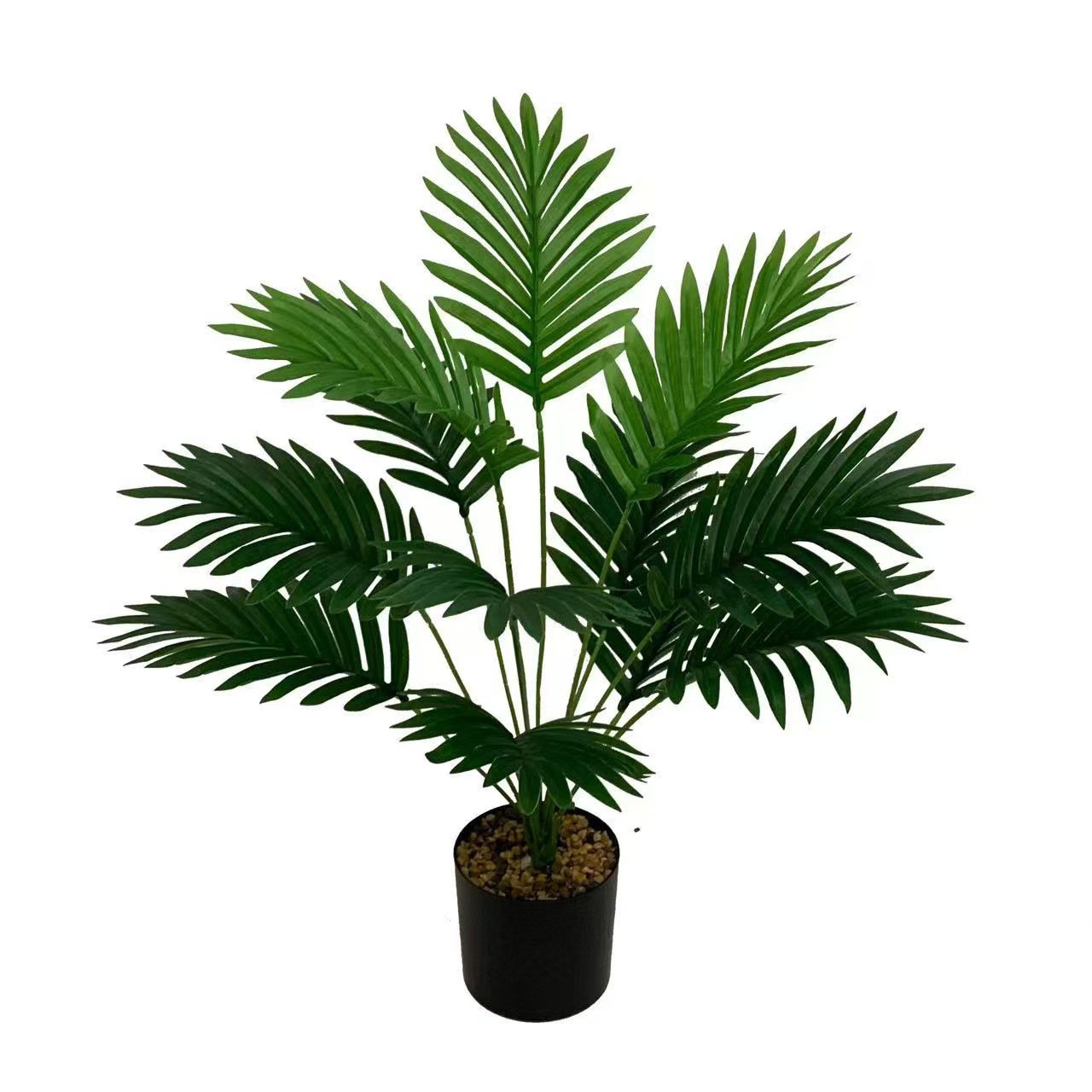 아레카 야자 화분 식물