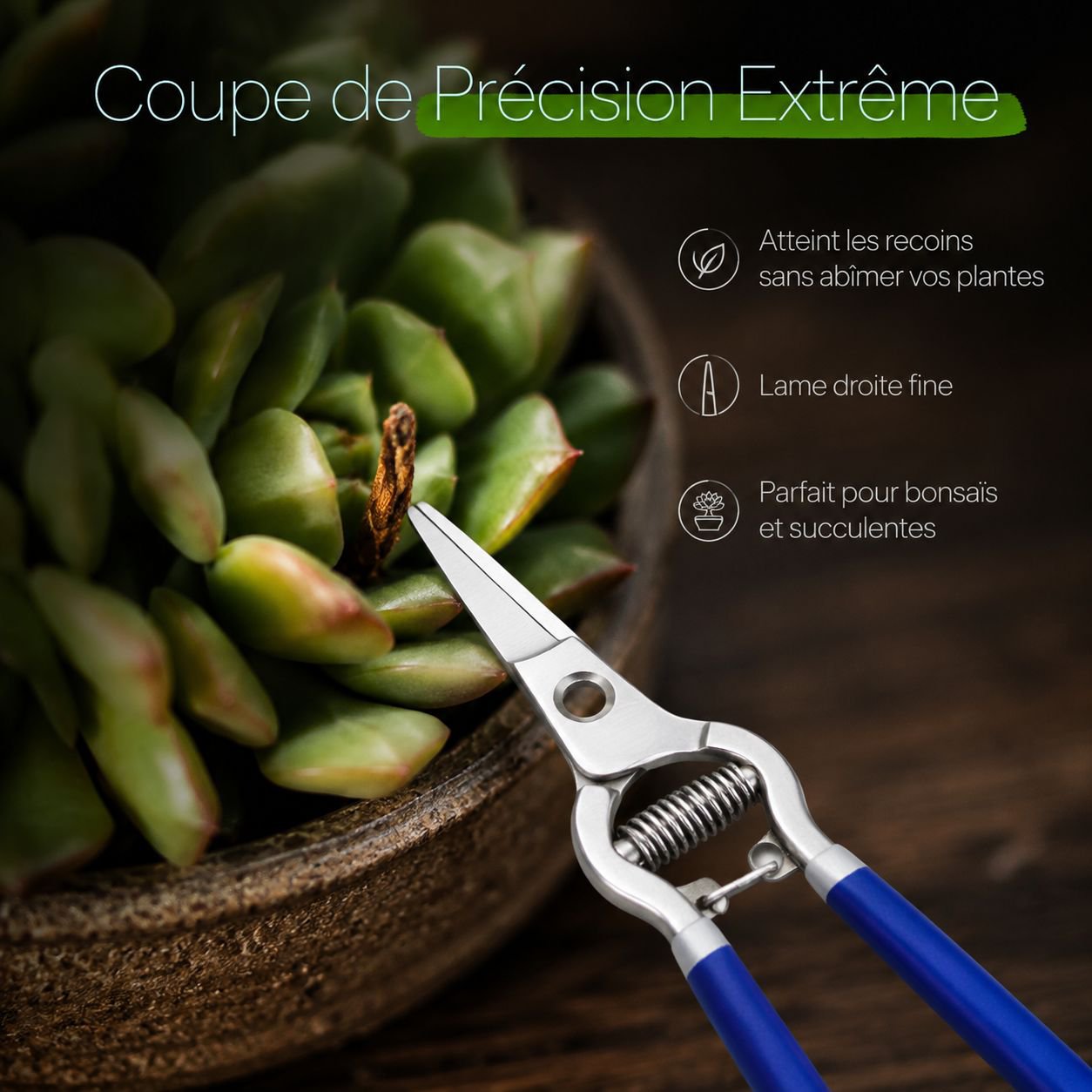 Sécateur de jardin, adapté à la taille des arbres fruitiers et des fleurs