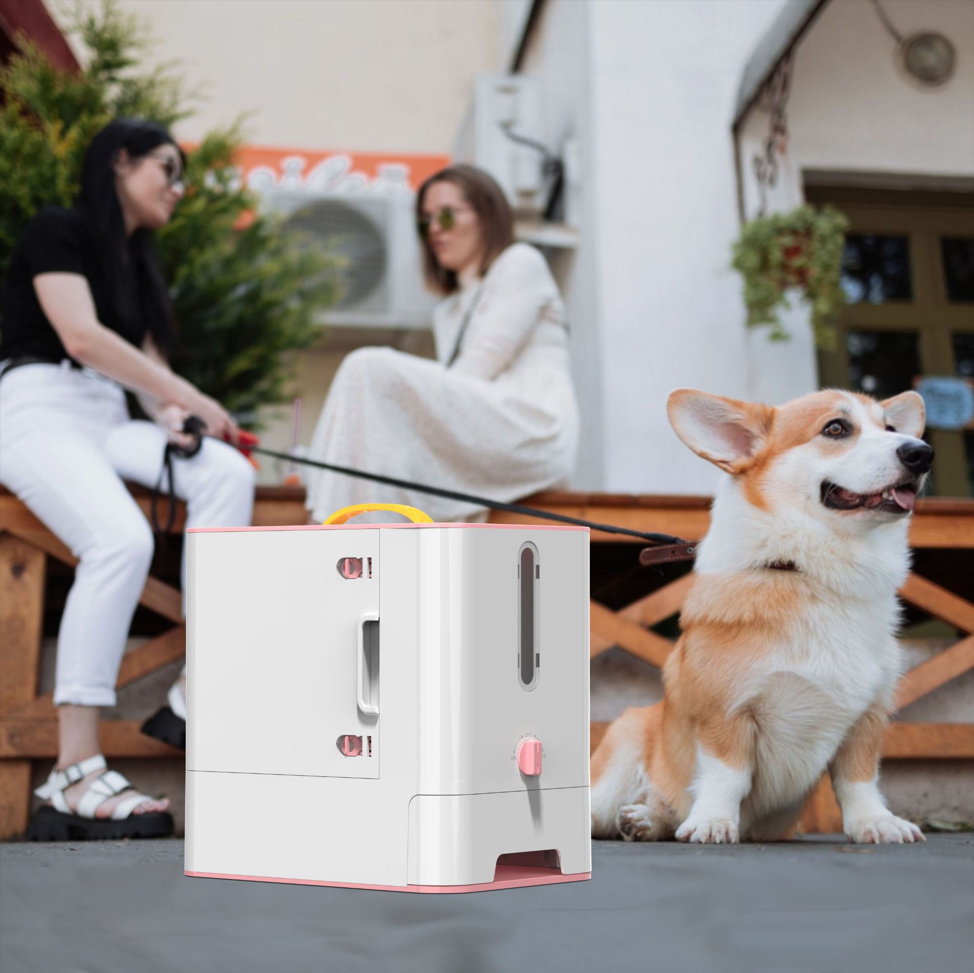 Katzen- und Hunde-Snack-Aufbewahrungsbox tragbarer Futterbehälter