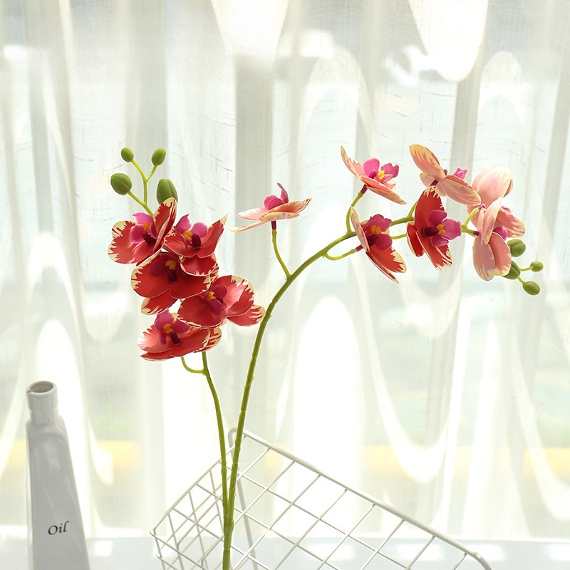 鉢植え植物の装飾品