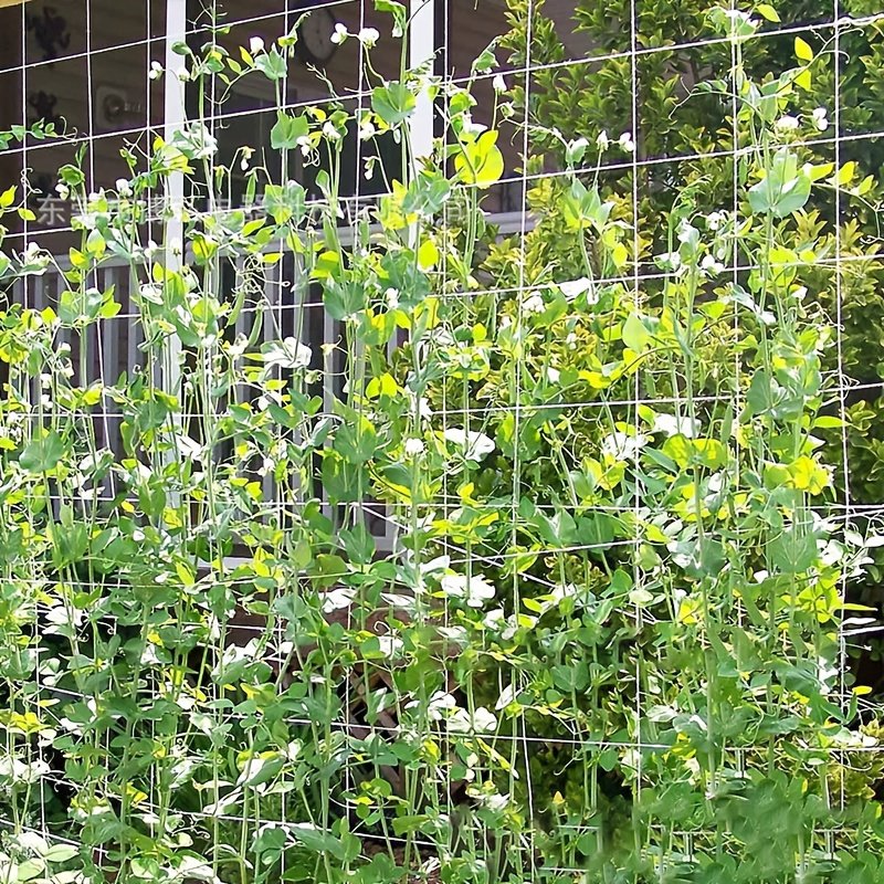 Garden Plant Support Net, 5 ft × 15 ft