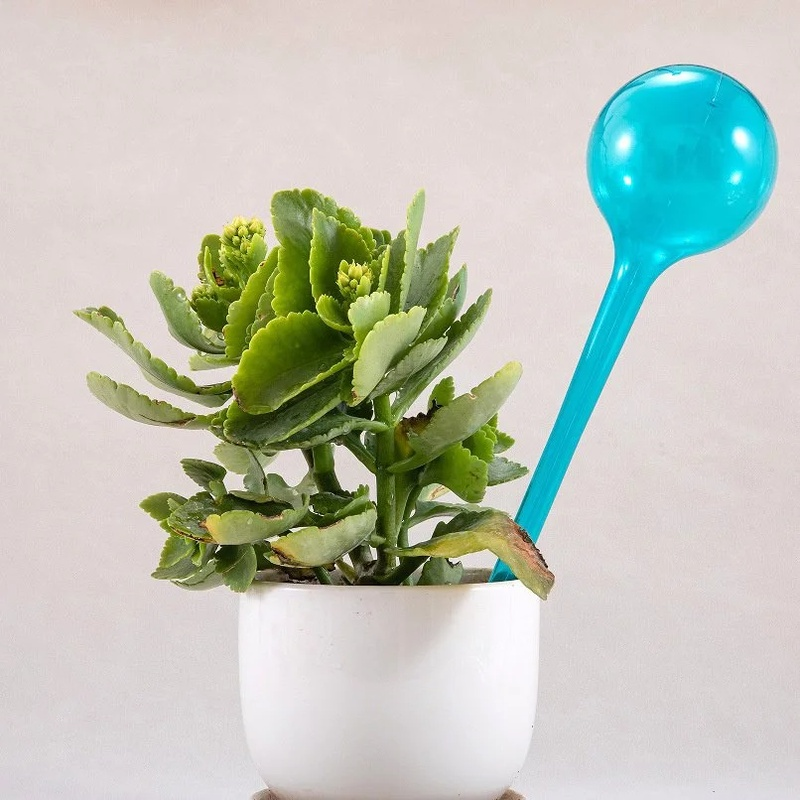 Regador automático de flores para macetas de plantas verdes hortícolas