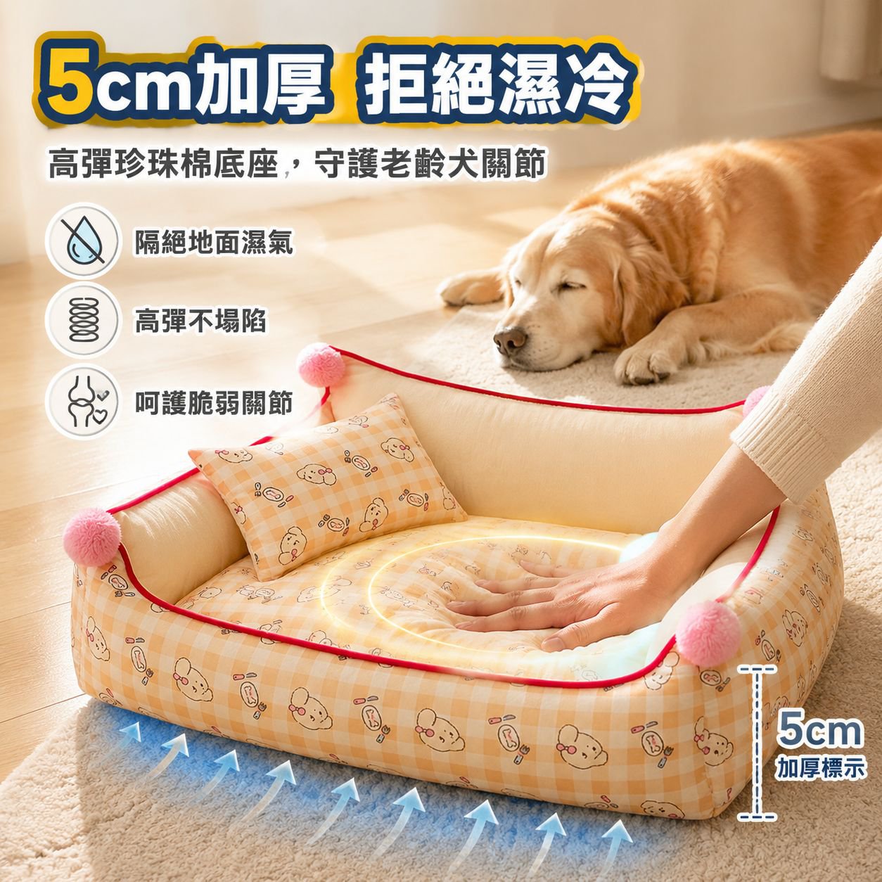 可拆洗透氣公主風寵物窩墊狗貓通用沙發床
