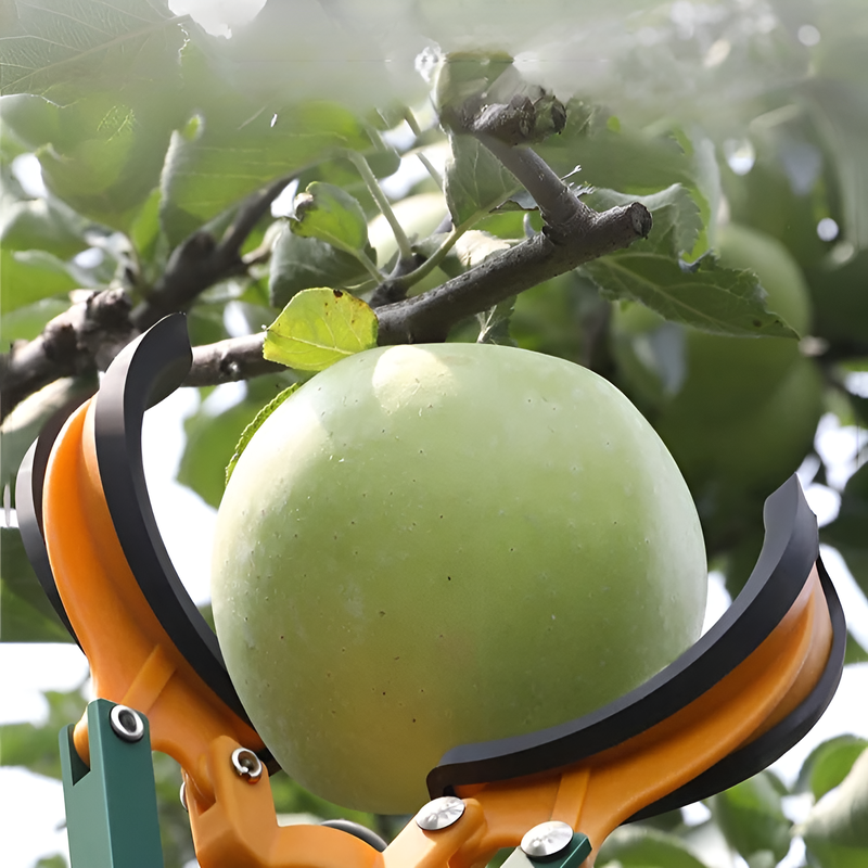 Recolector de frutas de goma blanda de tres garras